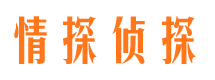 砀山商务调查